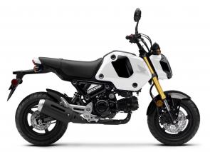 GO GROM!
You know that old saying about good things coming in small packages—well when you’re talking about a Honda Grom it’s never been more true. Except, you better make that great things. Awesome things. Über-cool things. Because the Grom is such a blast to ride just about everywhere you need to go. And this year it’s better than ever, because we have three trims to choose from: the standard Grom, the Grom ABS with front-wheel anti-lock brakes, and the Grom SP, with a unique graphics treatment. And every Grom features plug-and-play body panels that are easy to remove if you want to add some custom graphics of your own—it’s like a blank canvas that you can ride. So get out and enjoy the ride—once you go Grom, there’s no going back.